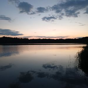 Kjell_Decker