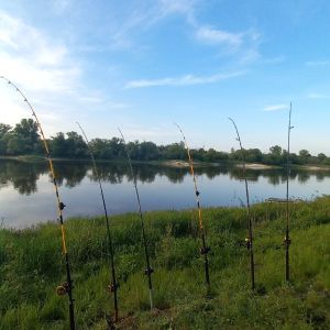 Waller_hunter.germany