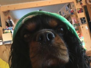 Profilbild