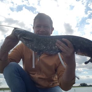 Profilbild
