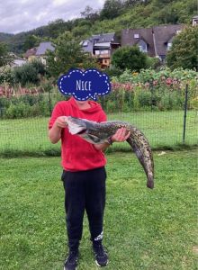 Profilbild