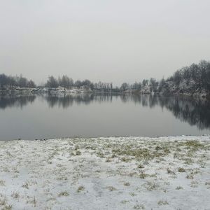 Hagen 1963
