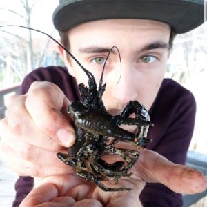 Profilbild