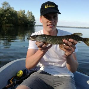 Profilbild