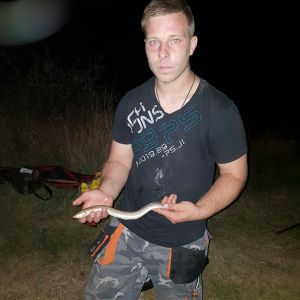 Jörg Graupner