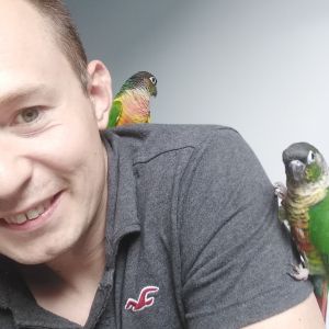 Profilbild