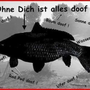 Hebbe