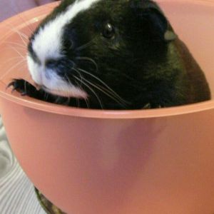 Profilbild