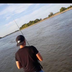 Profilbild