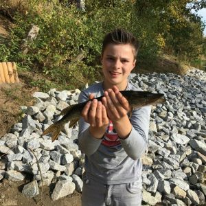 Profilbild
