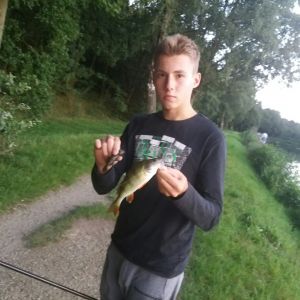 Profilbild