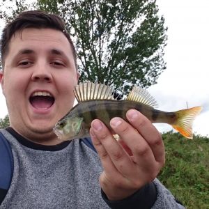 Profilbild