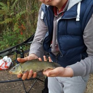Profilbild