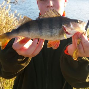 Profilbild