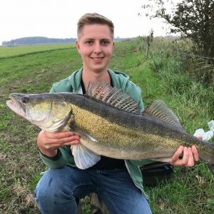 Profilbild