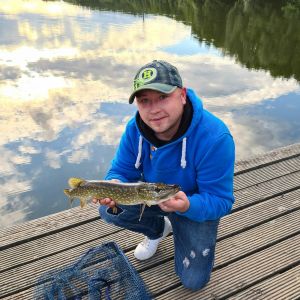 Profilbild