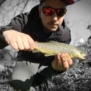 Impredator_fishing