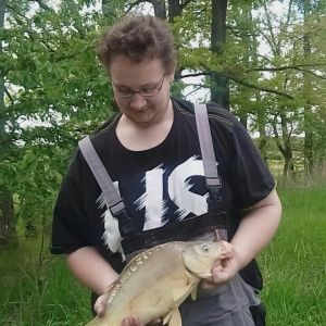 Profilbild