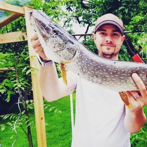 Profilbild