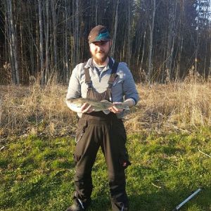 Profilbild