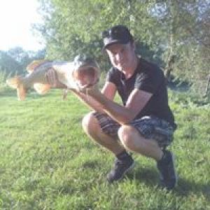 Profilbild
