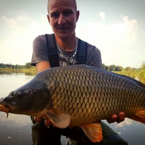 Dominik Freidhofer