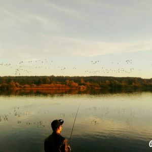 Profilbild