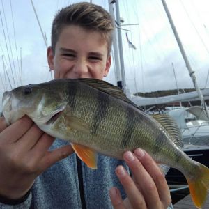 Profilbild
