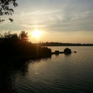Profilbild