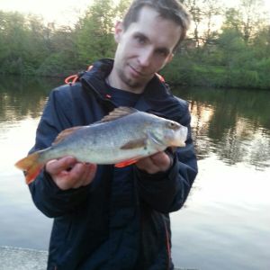 Profilbild