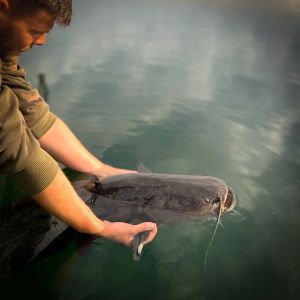 German_carp_hunter