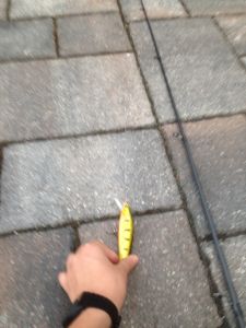 Profilbild