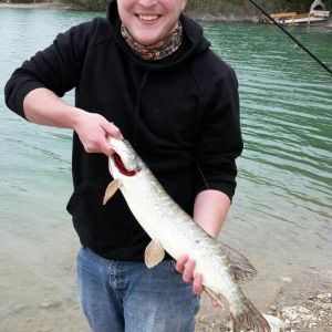 Profilbild