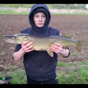 Profilbild