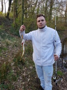 Profilbild