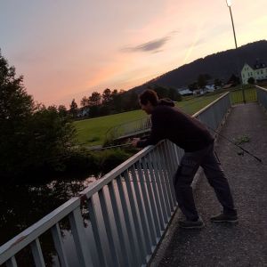 Profilbild