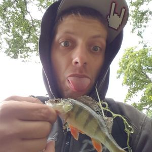 Profilbild