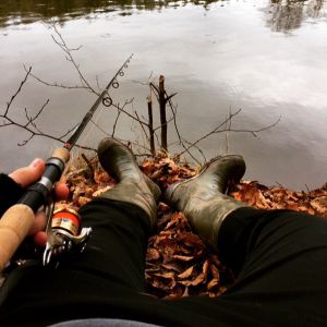 Profilbild