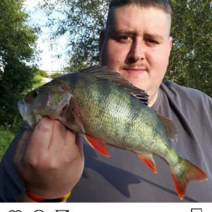 Profilbild