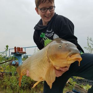 Profilbild