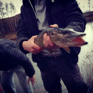Profilbild