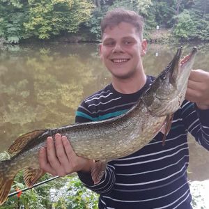 Profilbild