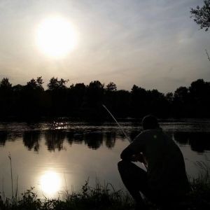 Profilbild