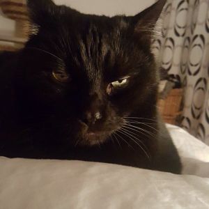 Profilbild