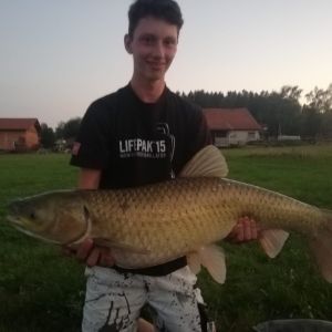 Profilbild