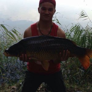Niclas.hallfeldt