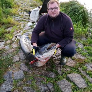 Profilbild