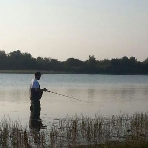 Klaar Kiming