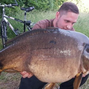 Carpinstinct