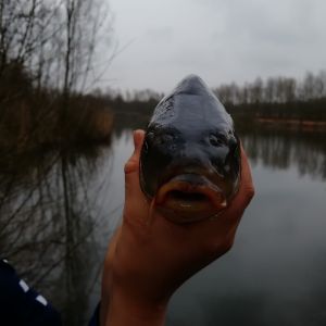 Profilbild